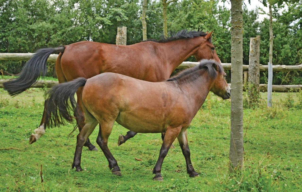Gite De La Lombardie Lottinghen Exterior foto